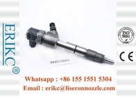 ERIKC 0 445 110 462 CRDI injector Bosch injection 0445110462 genuine fuel tank injector 0445 110 462