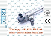 ERIKC 0445110537 bico injection pump injector 0 445 110 537 vehicle injection system 0445 110 537for YANGCHAI