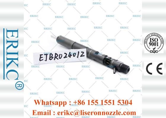 EJBR02401Z CRDI For Delp Diesel Injectors R02401Z Common Rail Injection System  For KIA