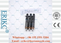 EJBR02101Z Delphi Injection Pump Parts Fuel Pump Dispenser Injector 2101Z