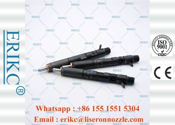 EJBR01701Z Common Rail Injector For Delp  8200365186 Valve Injector For Delp EJBR0 1701Z