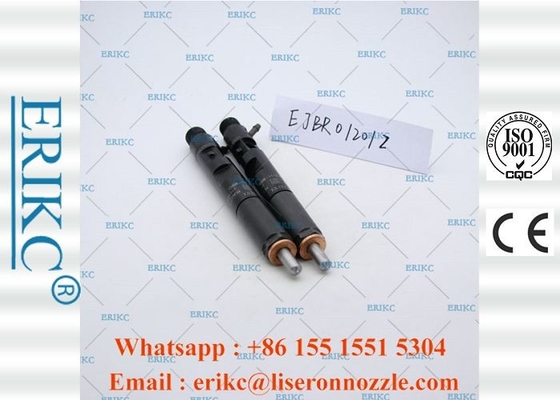 ERIKC Genuine Delphi Injectors Car Oil Diesel Unit Injector EJBR0 1201Z