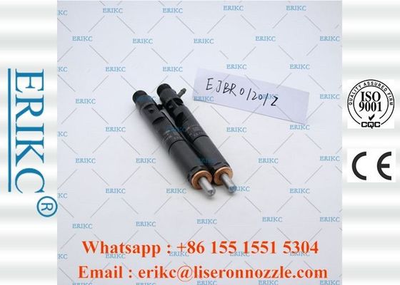 ERIKC Genuine For Delp Injectors Car Oil Diesel Unit Injector EJBR0 1201Z