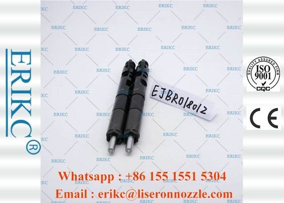 EJBR01801Z Diesel Auto For Delp Common Rail Diesel Injectors 8200049873