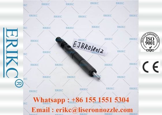 EJBR01801Z Diesel Auto For Delp Common Rail Diesel Injectors 8200049873