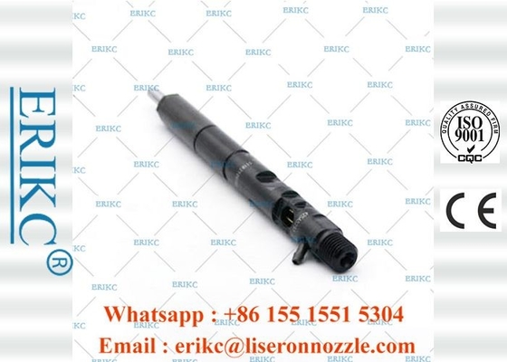 EJBR01801A Delphi Injectors Assembly Injector Common Rail Delphi ERIKC