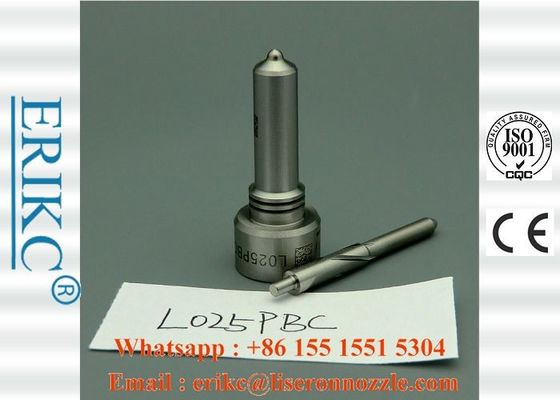 Common Rail For Delp Injector Nozzles L025PBC Fuel Injector System Spray ALLA152FL025