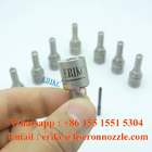 ERIKC DSLA 142P795 bosch injection parts DSLA 142 P795 and 0 433 175 196 diesel Nozzle Set DSLA 142P 795 for 044511004