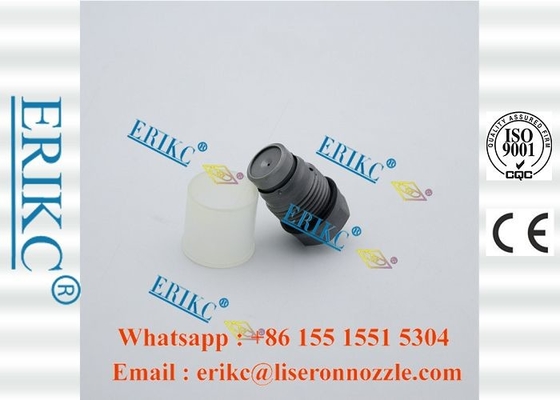 Diesel Fuel Pressure Relief Valve 1110010015 for Renault Master Pressure Relief Valve 3165144045359