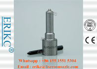 0433172479 DLLA 151 P2479 Common Rail Nozzle DLLA 151P2479 Auto Fuel Spray Nozzle DLLA 151 P 2479
