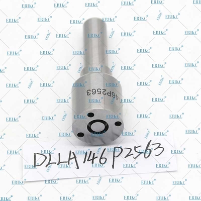 Fog Spray Nozzle DLLA 146P 2563 DLLA146P2563 Diesel Fuel Injector Nozzle DLLA 146P2563