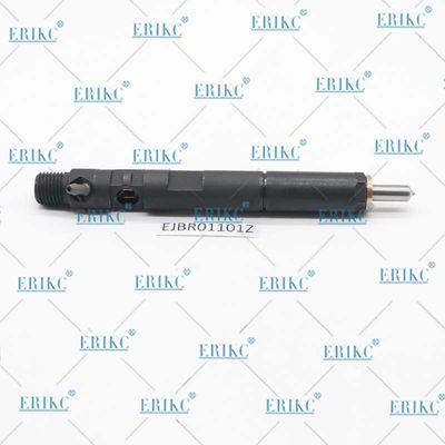 ERIKC EJBR01101Z Common Rail Injection System EJBR0 1101Z Diesel Injector EJB R01101Z For Delp