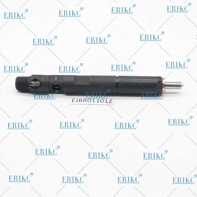 ERIKC EJBR01101Z Common Rail Injection System EJBR0 1101Z Diesel Injector EJB R01101Z For Delphi