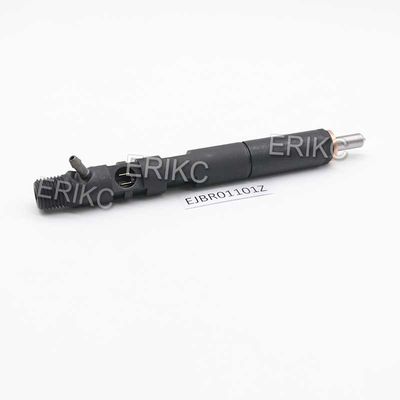 ERIKC EJBR01101Z Common Rail Injection System EJBR0 1101Z Diesel Injector EJB R01101Z For Delp