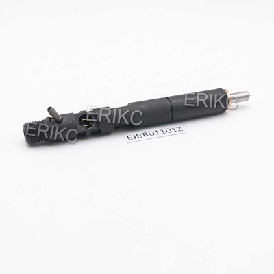 ERIKC EJBR01101Z Common Rail Injection System EJBR0 1101Z Diesel Injector EJB R01101Z For Delphi