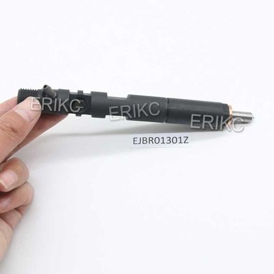 ERIKC EJBR0 1301Z Common Rail Injectors EJB R01301Z Heavy Truck Injector EJBR01301Z For Delp