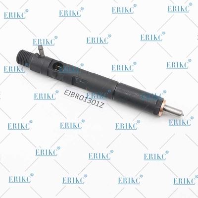 ERIKC EJBR0 1301Z Common Rail Injectors EJB R01301Z Heavy Truck Injector EJBR01301Z For Delphi