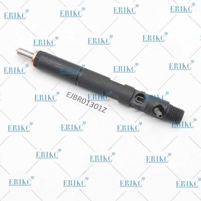 ERIKC EJBR0 1301Z Common Rail Injectors EJB R01301Z Heavy Truck Injector EJBR01301Z For Delp