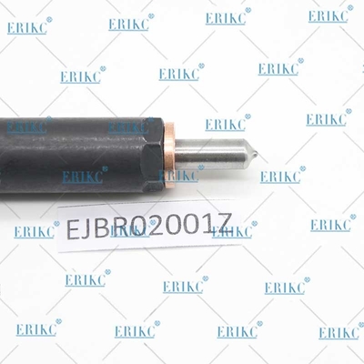 EJBR02001Z Diesel Fuel Injector EJB R02001Z Common Rail Injector EJBR0 2001Z For Delphi