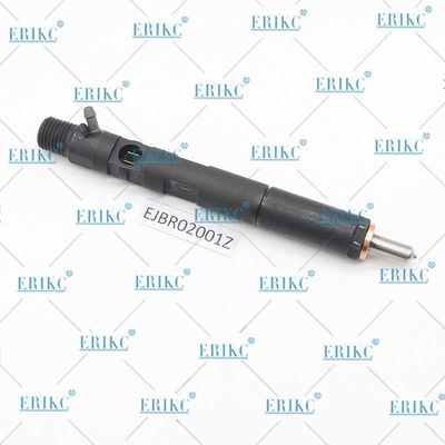 EJBR02001Z Diesel Fuel Injector EJB R02001Z Common Rail Injector EJBR0 2001Z For Delp
