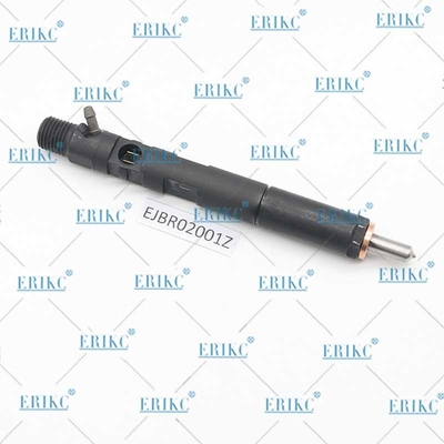 EJBR02001Z Diesel Fuel Injector EJB R02001Z Common Rail Injector EJBR0 2001Z For Delphi