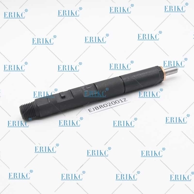 EJBR02001Z Diesel Fuel Injector EJB R02001Z Common Rail Injector EJBR0 2001Z For Delphi