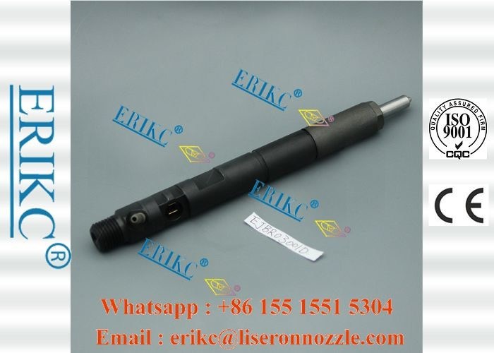 Common Rail For Delp Injectors Ejbr03001d Fuel Pump Dispenser Injector  Ejb R03001d