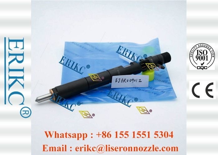 Ejbr00901z For Delp Injectors Engine Oil Injector Unit ERIKC For Hyundai